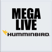 MEGA LIVE
