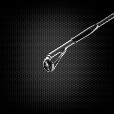 Spinning Rod Favorite ARENA 1