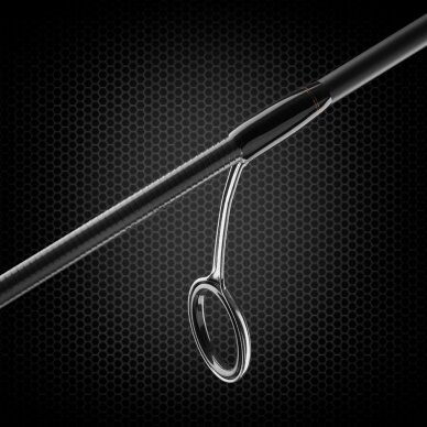 Spinning Rod Favorite ARENA 2